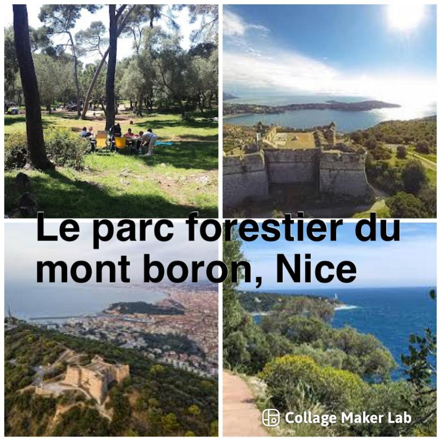 Studio Nice Centre Garibaldi Port Plage Bagian luar foto